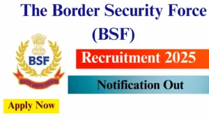 BSF HC (RO & RM) Recruitment 2025
